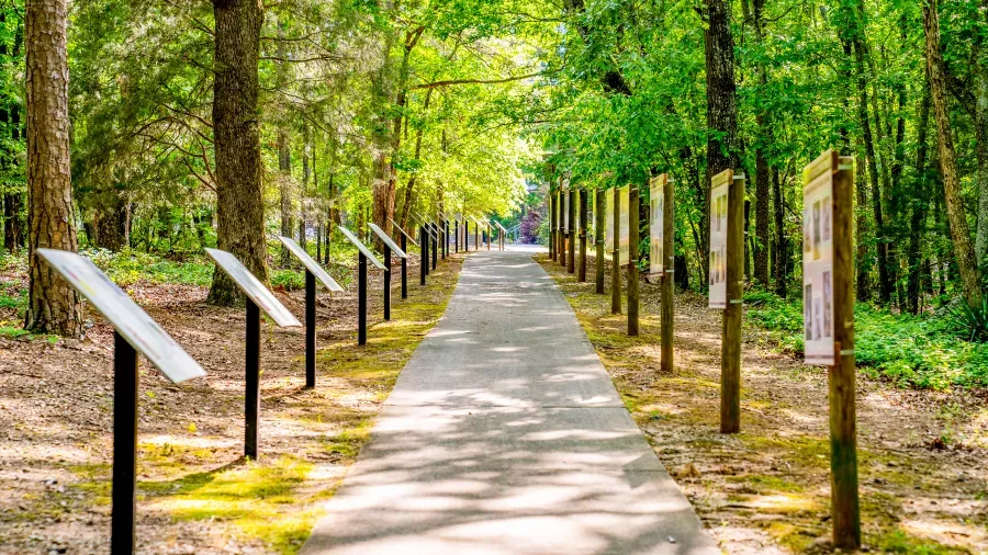 A shaded park pathway lined with informational plaques on stands. The trees surrounding the trail are lush and green, creating a tranquil and inviting atmosphere. The path is paved and stretches into the distance, inviting visitors to explore.